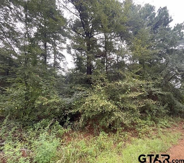 1st image of 244 Sand Jack Dr