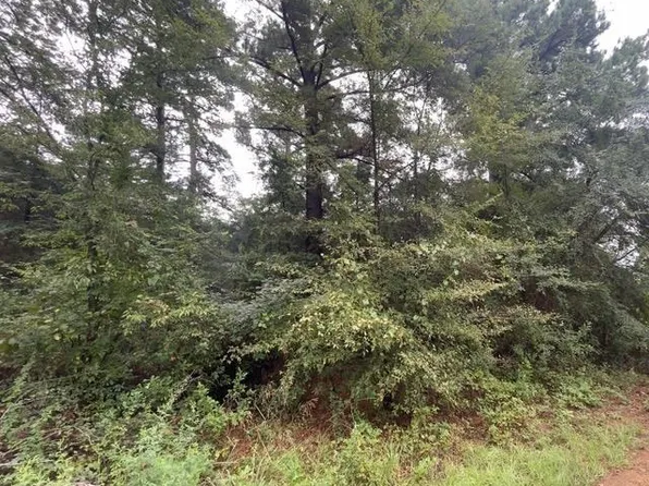 244 Sand Jack Dr, Bullard, TX 75757