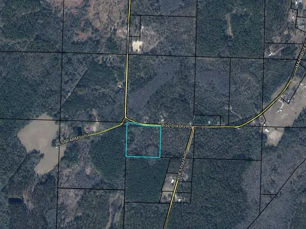 0 Bill Dixon Road, Graceville, FL 32440