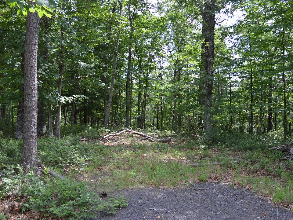 2nd image of 97 Black Diamond Dr