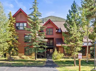 58 Trappers Crossing Trl #8769, Dillon, CO 80435