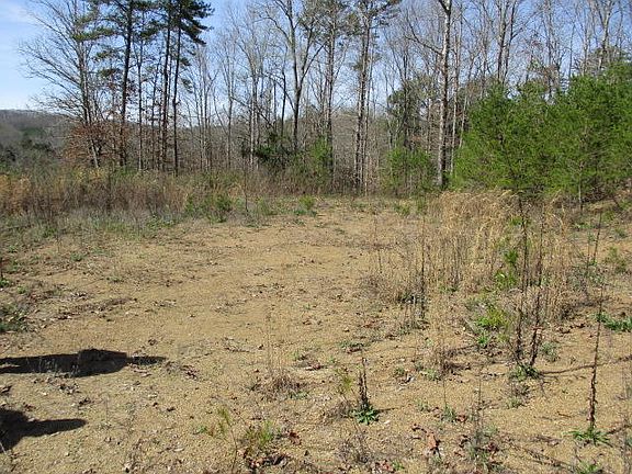 5th image of 189 County Road 103 Lot 3