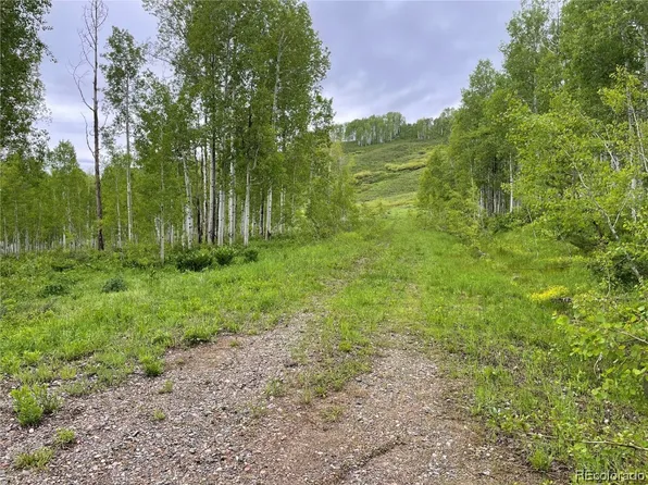 27100 Saint Louis Pl, Clark, CO 80428