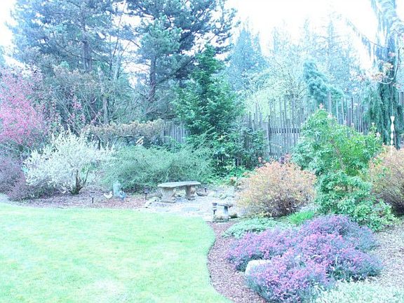3rd image of 185 Alder Dr