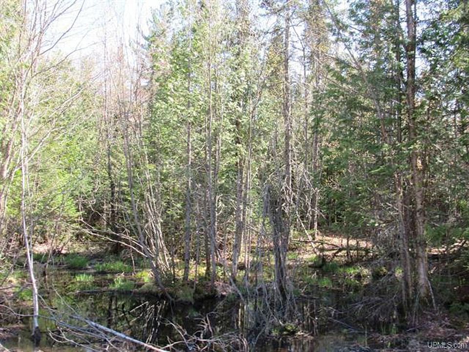 2nd image of Tbd Rice Lake Rd