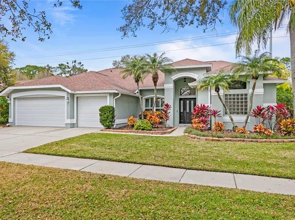 12409 Bristol Commons Cir, Tampa, FL 33626