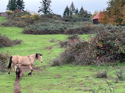 28003 S Gard Rd, Mulino, OR, 97042