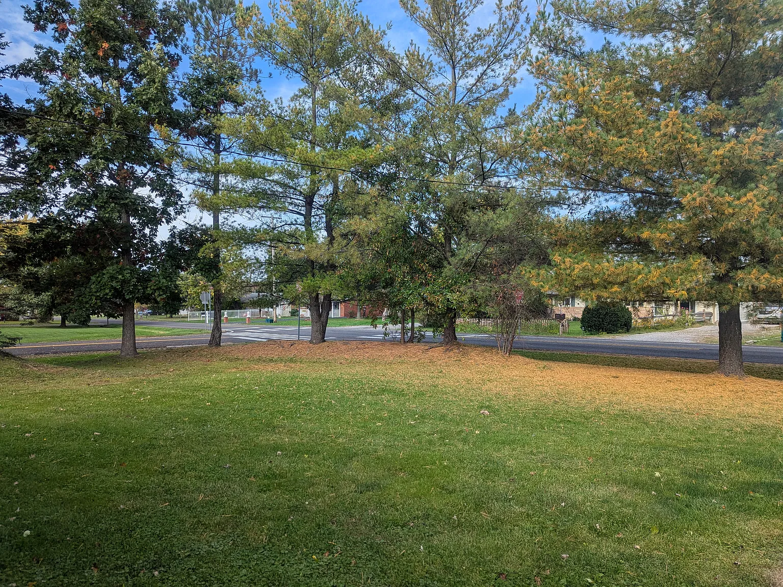 3 bed, 1.5 bath, 1800 sqft, $2,391 — Photo 4