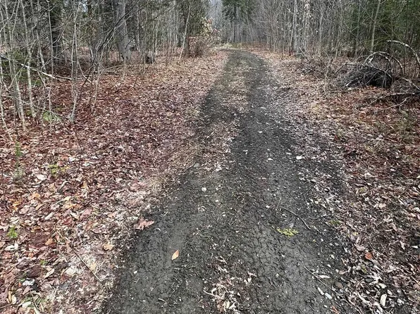 1412 Bean Pond Road, Wheelock, VT 05851