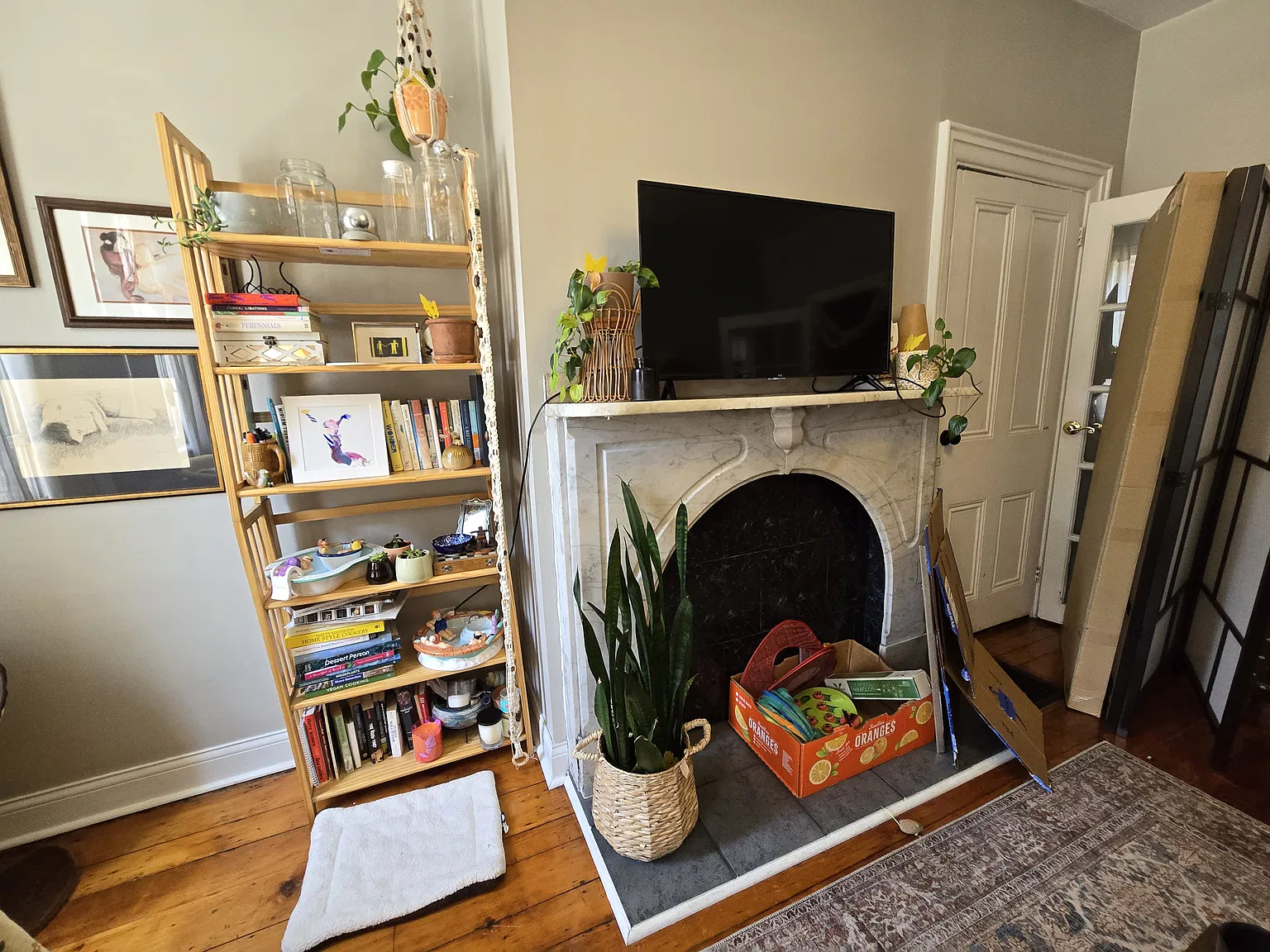 1532 Buena Vista St — Photo 2