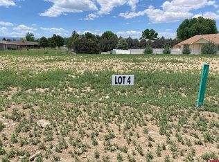 Lot 4 6700 Road, Montrose, CO 81401