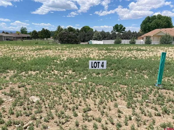 Lot 4 6700 Road, Montrose, CO 81401