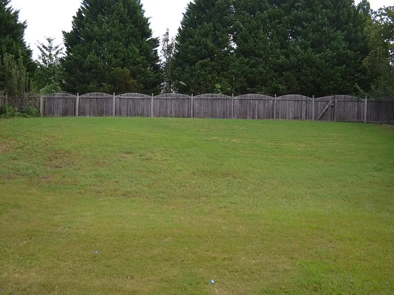Fenced backyard