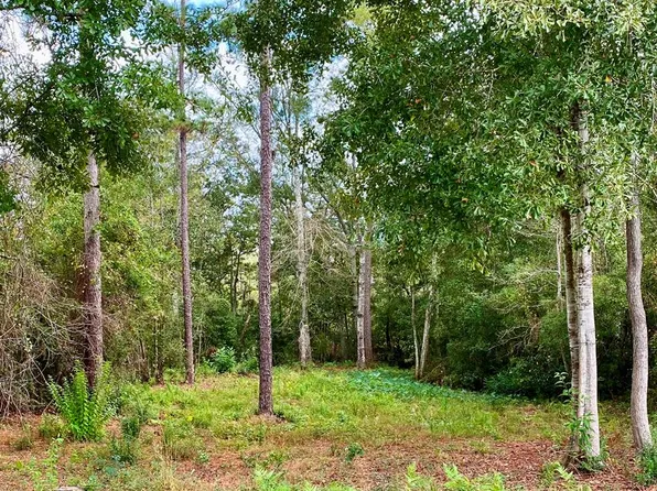 941 W Lakeshore Dr, Carriere, MS 39426