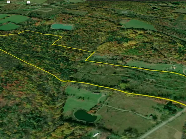 Briggs Hill Rd Lot Wp001, Van Etten, NY 14889