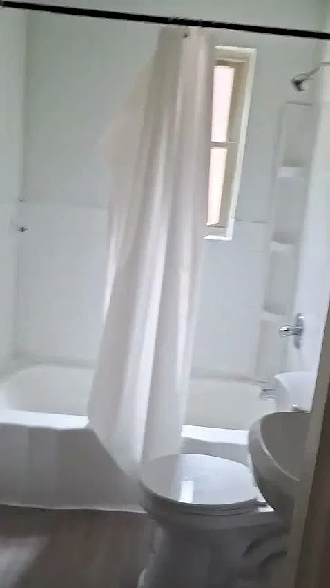 1 bed, $950 — Photo 2