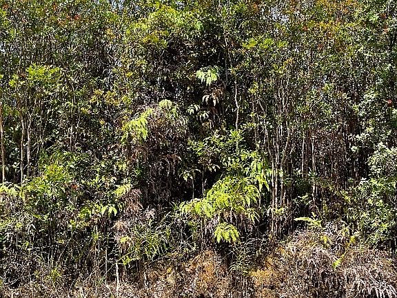 4th image of Lehua St Lot 7078