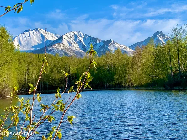 31561 E Oline Cir, Chickaloon, AK 99674