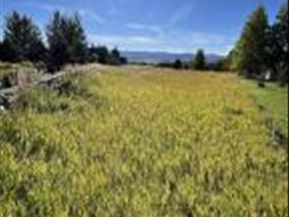 4th image of LOT 56 W Elkhorn Dr