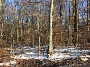 111 Odell Ln, Fall Branch, TN 37656