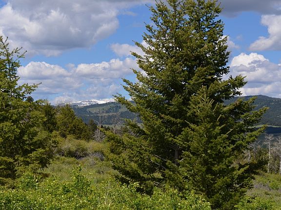 2nd image of 166 Meadow Vw