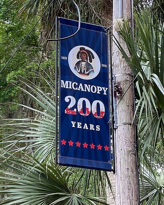 201203 NE Tahota Ave, Micanopy, FL 32667 Zillow