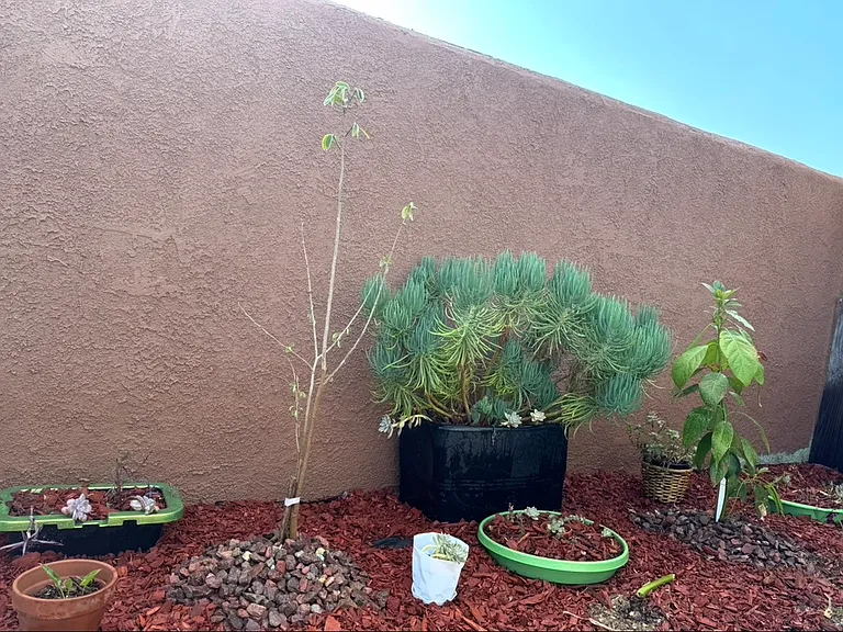605 Lagoon Ave — Photo 34