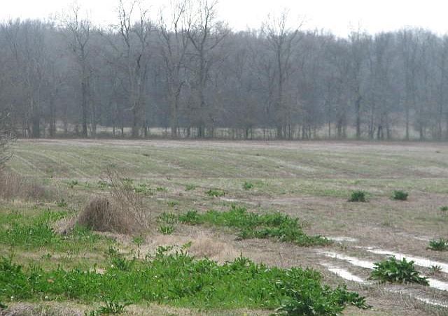 2nd image of 1118 Highway 438