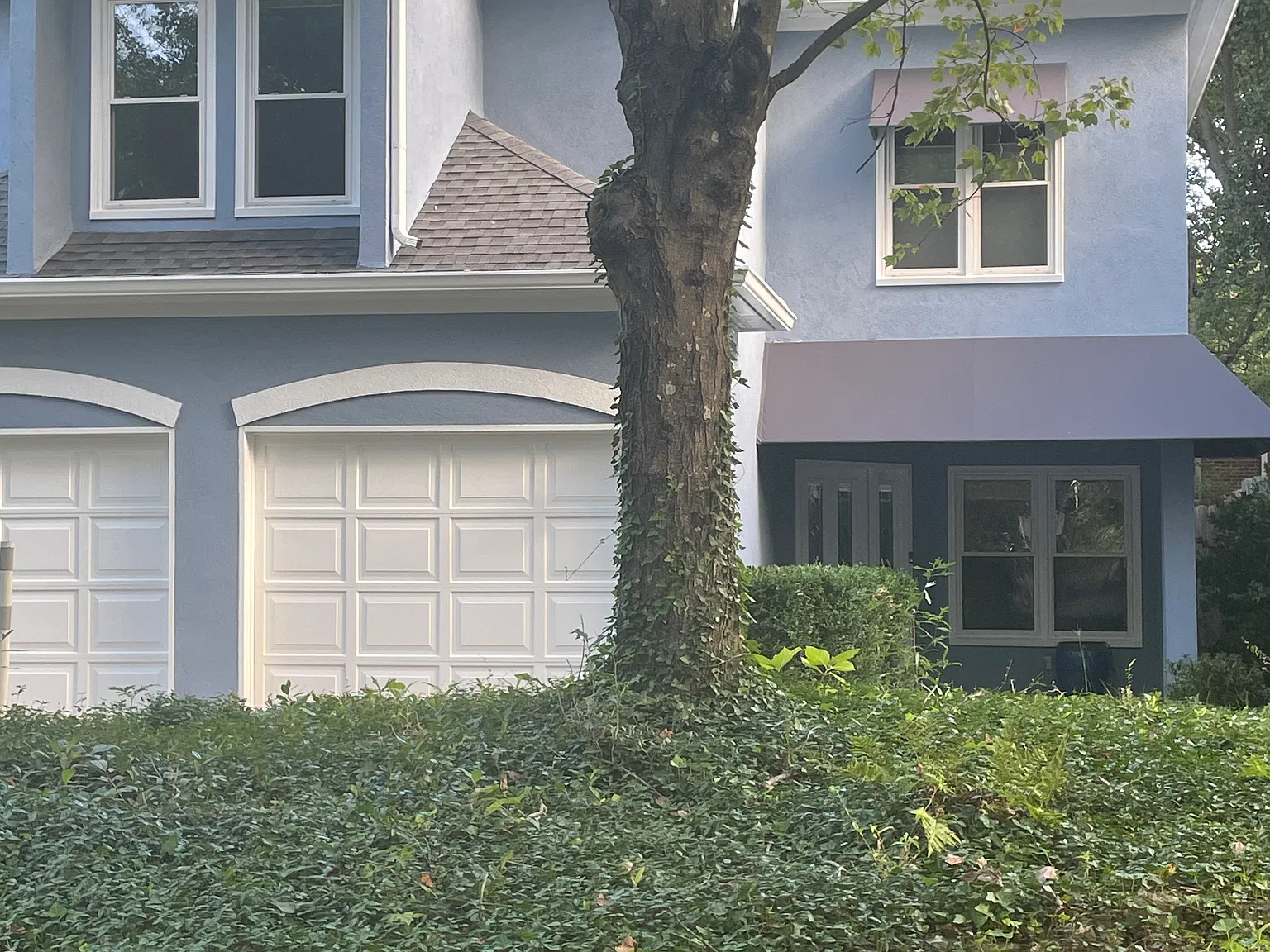 4 bed, 2.5 bath, 2400 sqft, $6,000 — Photo 2