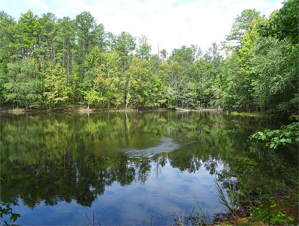 1st image of 667 Hwy 49