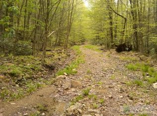 109 Wild Iris Ln, Banner Elk, NC 28604