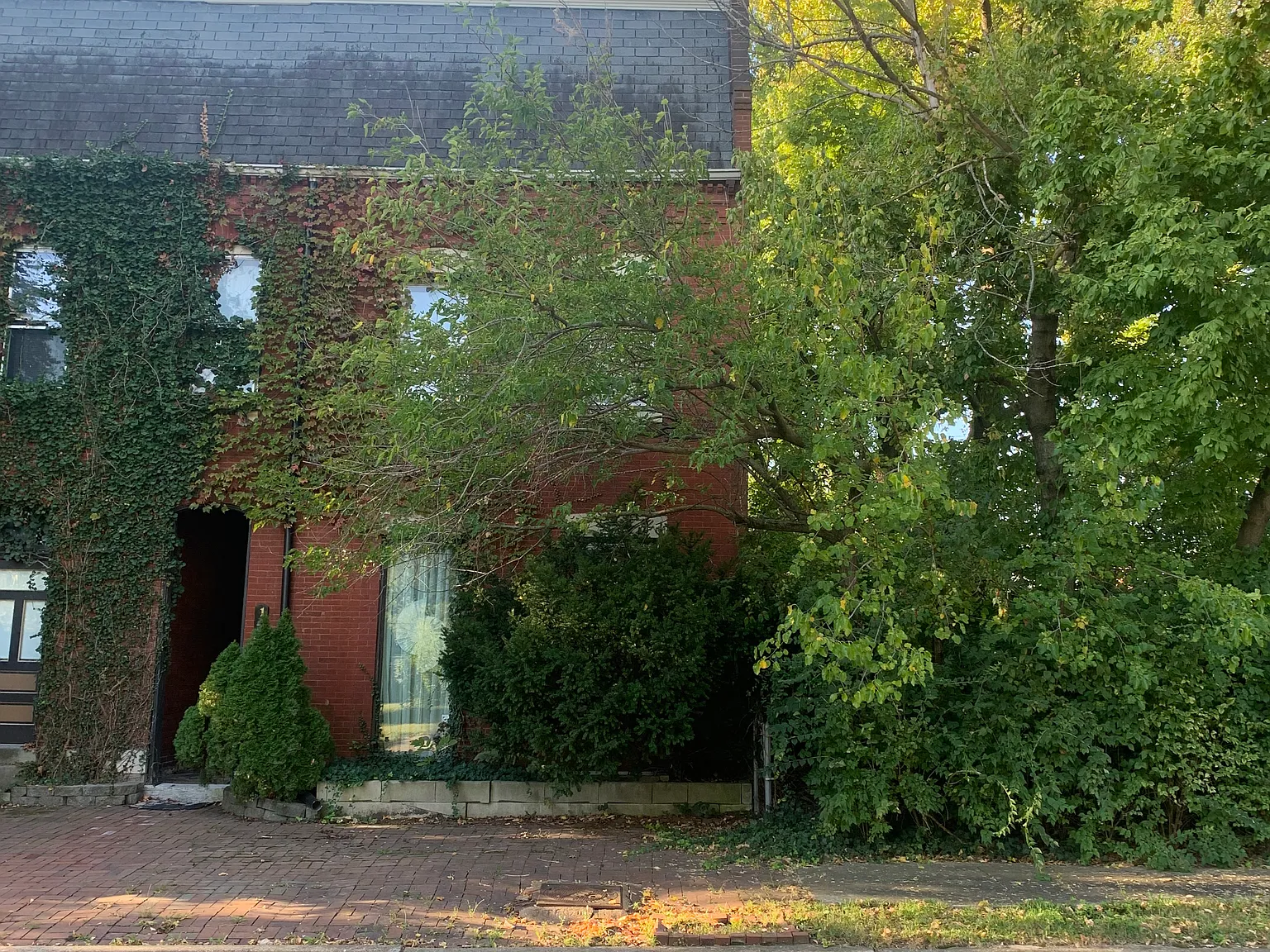 2 bed, $2,000 — Photo 1