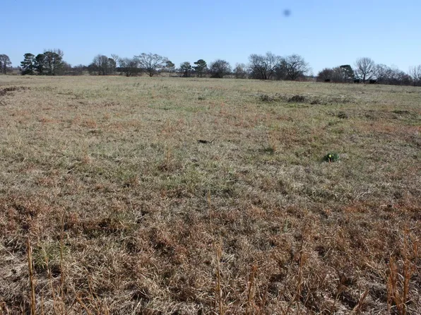 9 Lake View Rd, Nashville, AR 71852