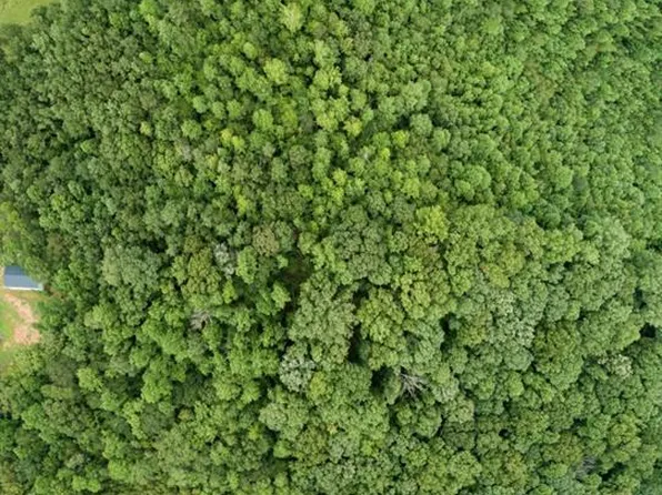 6269 Trojan Dr #1, Gainesville, GA 30506