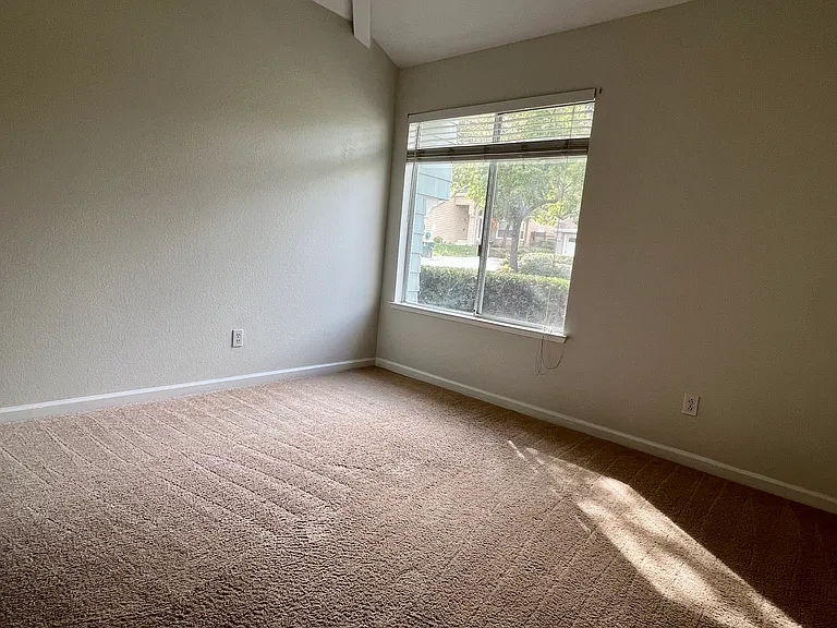 11688 Olive Spring Ct — Photo 21