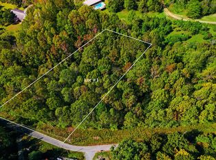 LOT 1 Timber Lake Dr, Cosby, TN 37722