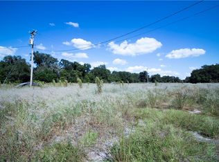 2718 Dad Weldon Rd, Dover, FL 33527