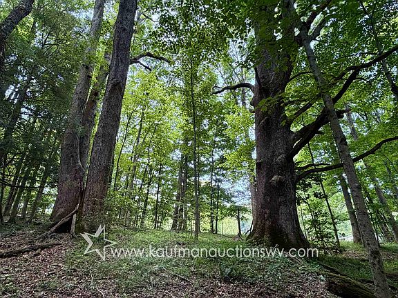 5th image of Mulberry Ridge Rd