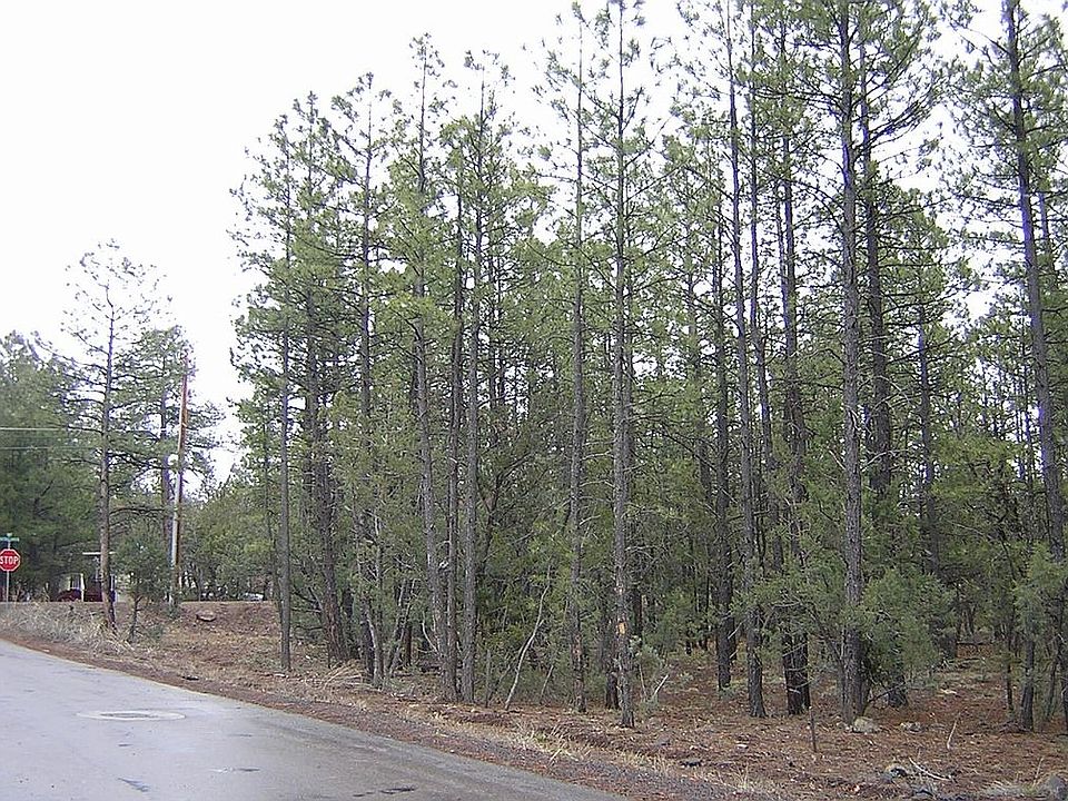 1st image of 861 Big Bear Cir