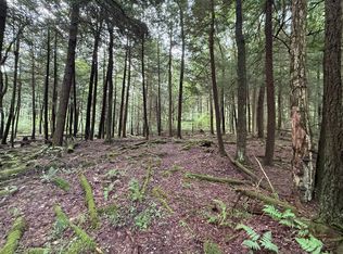 0 Songer Rd, Sigel, PA 15860