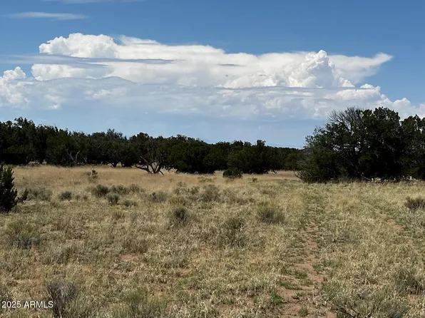 59 COUNTY ROAD N6311 -- #81, St Johns, AZ 85936