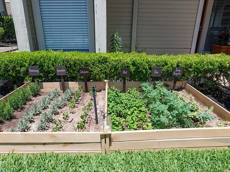 Meyerland Court Apartments — Photo 13