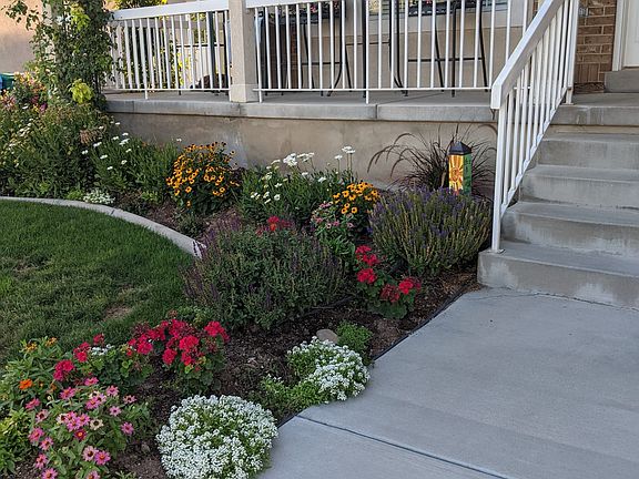 3rd image of 12244 S High Creek Cir