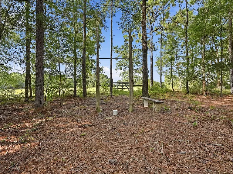 163 Tim Boland Rd — Photo 46