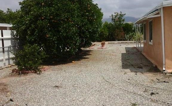 SIDE YARD, WITH FRUIT TREES