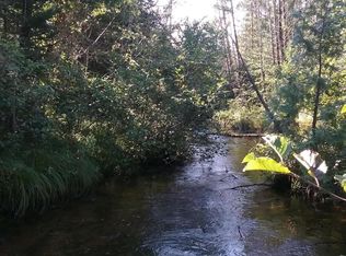 E Shoreline Dr, Wolverine, MI 49799