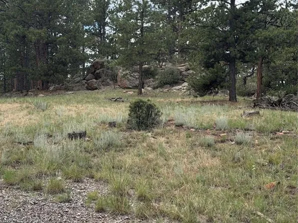 11042 Teller County Rd #1, Florissant, CO 80816