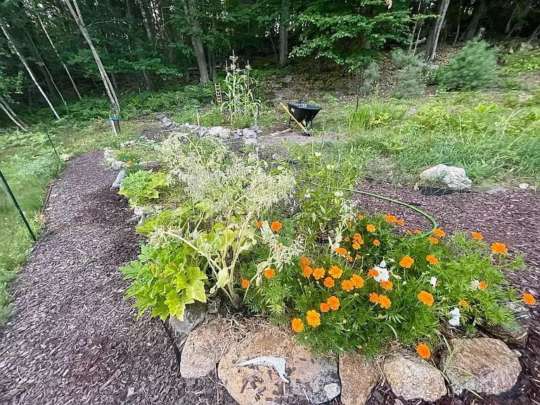 391 Canton Rd — Photo 36