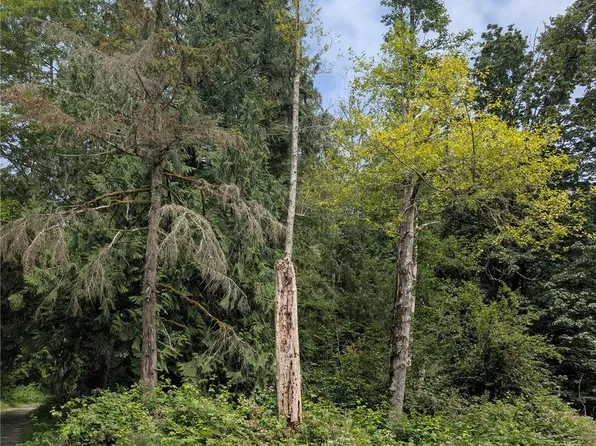 25314 Ebey Mountain Road, Arlington, WA 98223