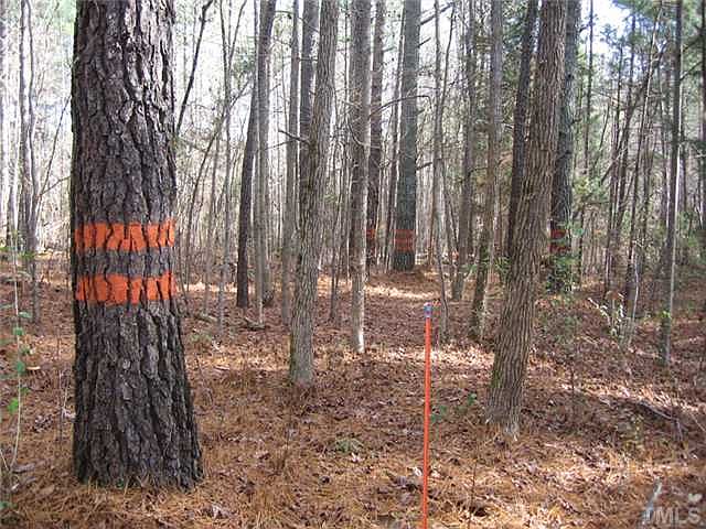 2nd image of 7315 7325 7318 Farrington Rd
